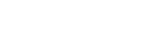 Stone Action Logo